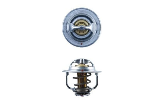 Thermostat, coolant, Image 2