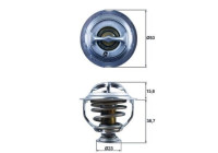 Thermostat, coolant