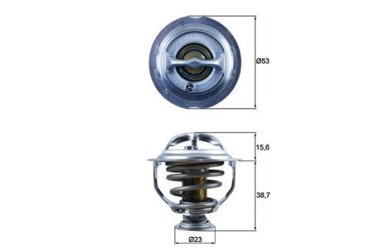 Thermostat, coolant