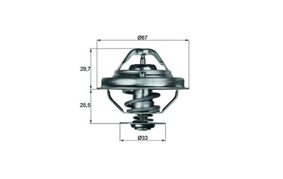 Thermostat, coolant