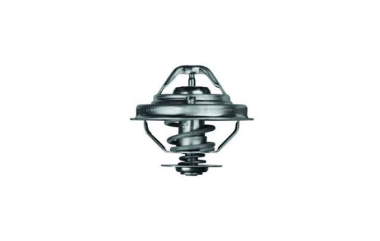 Thermostat, coolant, Image 2