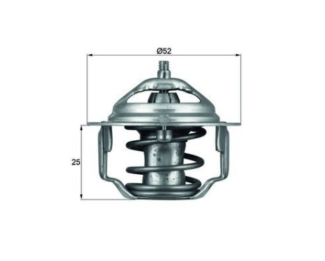 Thermostat, coolant