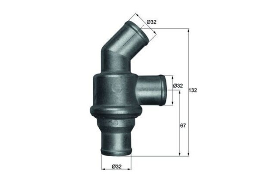 Thermostat, coolant