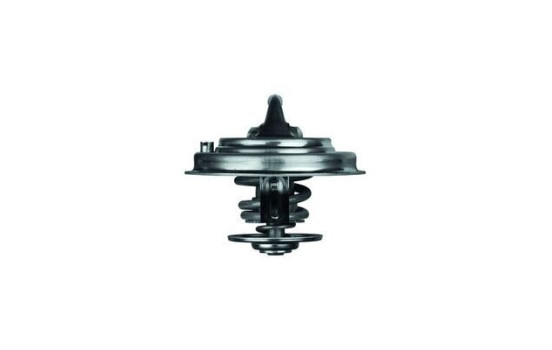 Thermostat, coolant, Image 2
