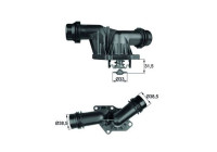 Thermostat, coolant