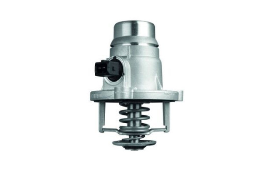 Thermostat, coolant, Image 2