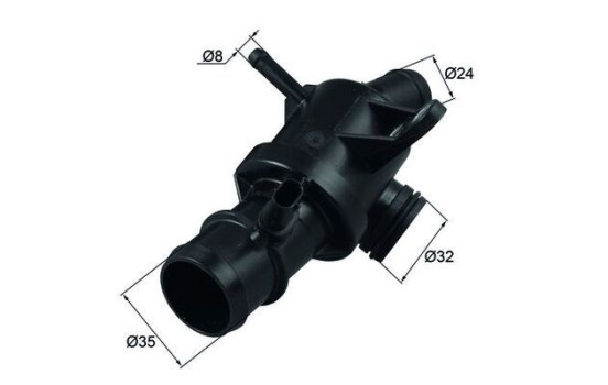 Thermostat, coolant