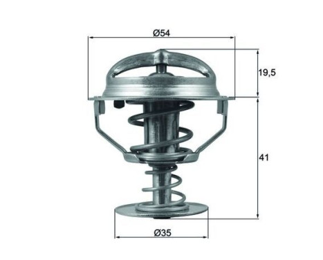 Thermostat, coolant