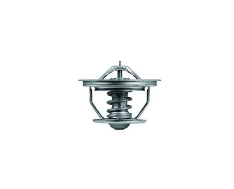 Thermostat, coolant, Image 2