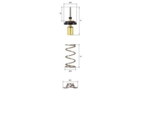 Thermostat, coolant