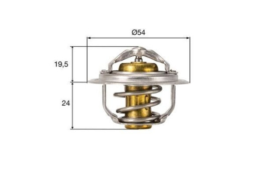 Thermostat, coolant