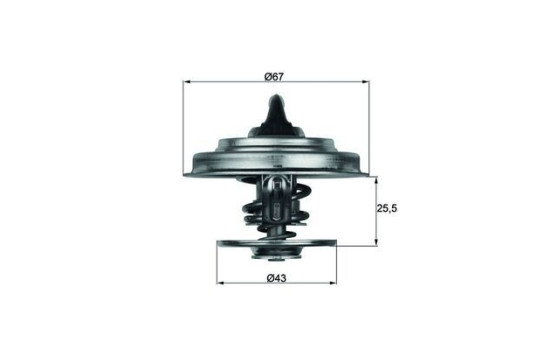 Thermostat, coolant