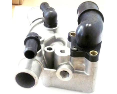 Thermostat, coolant
