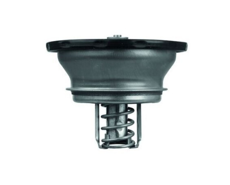 Thermostat, coolant, Image 2