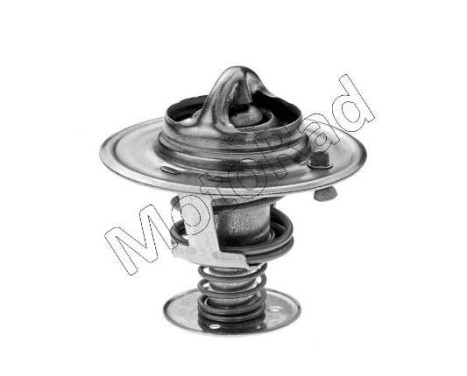 Thermostat, coolant