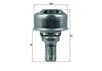 Thermostat, coolant