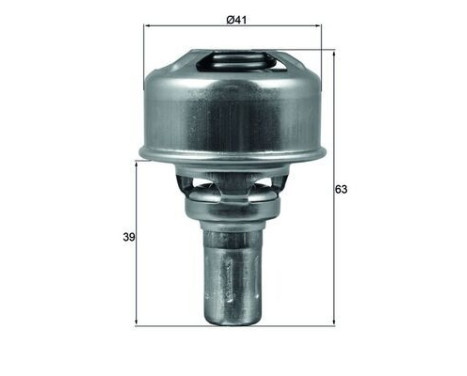 Thermostat, coolant
