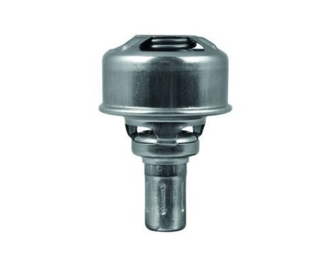 Thermostat, coolant, Image 2