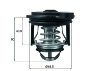 Thermostat, coolant