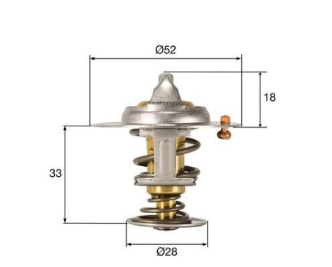 Thermostat, coolant