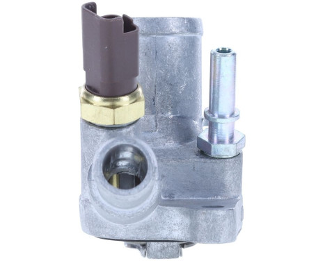 Thermostat, coolant