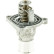 Thermostat, coolant