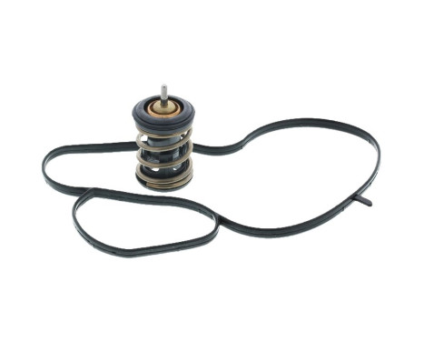 Thermostat, coolant, Image 2