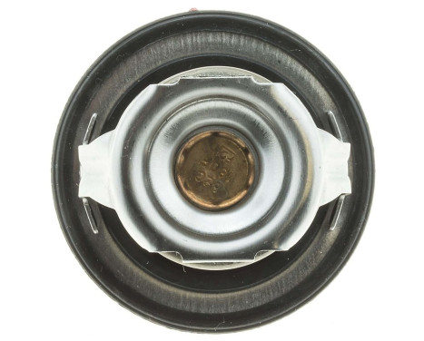 Thermostat, coolant, Image 2