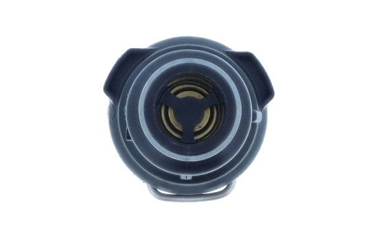 Thermostat, coolant, Image 3