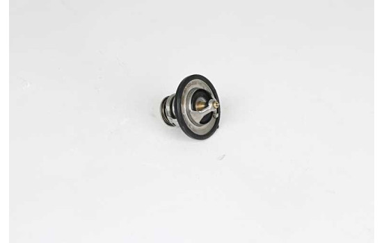 Thermostat, coolant, Image 2