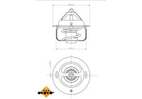 Thermostat, coolant
