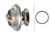 Thermostat, coolant