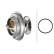 Thermostat, coolant