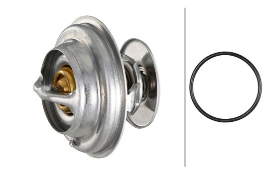 Thermostat, coolant