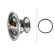 Thermostat, coolant