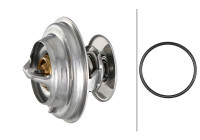 Thermostat, coolant