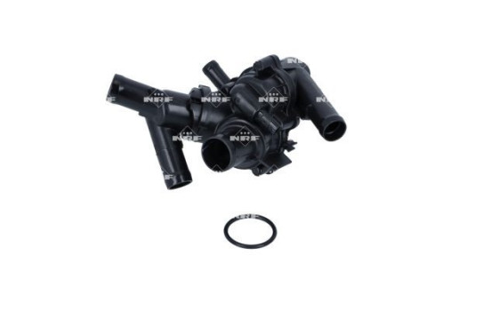 Thermostat, coolant