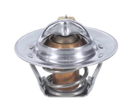 Thermostat, coolant, Image 5