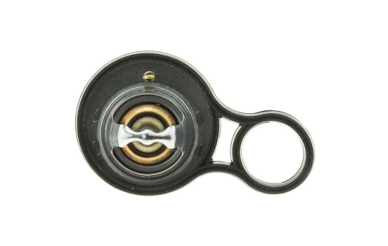 Thermostat, coolant, Image 4