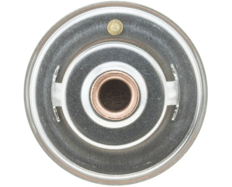 Thermostat, coolant, Image 4