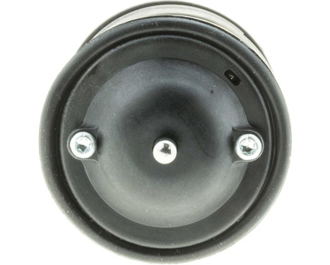 Thermostat, coolant, Image 4