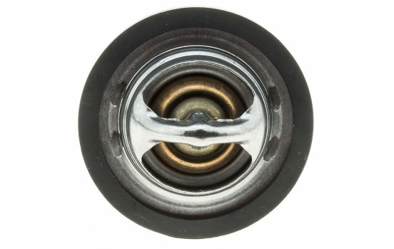Thermostat, coolant, Image 4