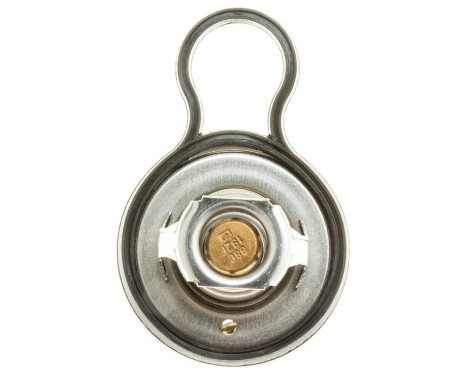 Thermostat, coolant, Image 4