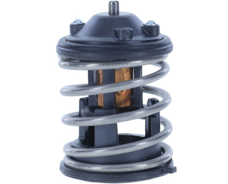 Thermostat, coolant, Image 6