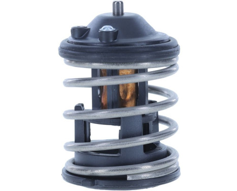 Thermostat, coolant, Image 7