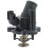 Thermostat, coolant, Thumbnail 8