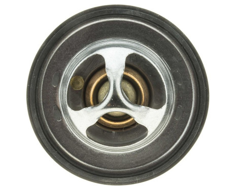 Thermostat, coolant, Image 4