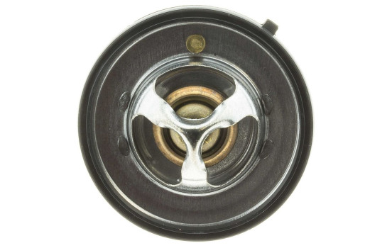 Thermostat, coolant, Image 4