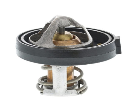 Thermostat, coolant, Image 5