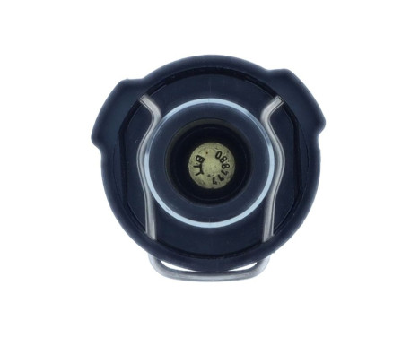 Thermostat, coolant, Image 4